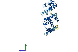AlphaFold protein structure predicition of Human Recombinant DNAJC9 Protein, UniprotID Q8WXX5