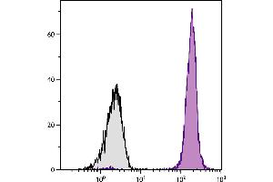 Chicken peripheral blood lymphocytes were stained with Mouse Anti-Chicken CD45-PE. (CD45 antibody  (PE))