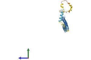 AlphaFold protein structure predicition of Human Recombinant CHMP4BP1 Protein, UniprotID P59074 (CHMP4BP1 Protein (AA 1-171) (His tag))