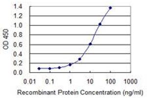 Detection limit for recombinant GST tagged CGB7 is 0. (CGB7 antibody  (AA 56-165))