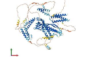 AlphaFold protein structure predicition of Human Recombinant CC2D1A Protein, UniprotID Q6P1N0