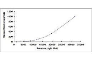 ELISA image for Chemokine (C-X-C Motif) Ligand 13 (CXCL13) CLIA Kit (ABIN1081241)