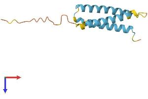 AlphaFold protein structure predicition of Human Recombinant TMEM243 Protein, UniprotID Q9BU79 (TMEM243 Protein (AA 1-118) (His tag))