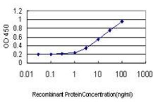 Detection limit for recombinant GST tagged TEK is approximately 0. (TEK antibody  (AA 701-800))