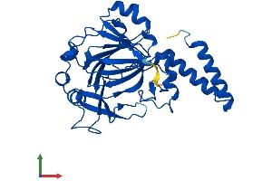 Protein Structure (PS) image for Chromosome 2 Open Reading Frame 60 (C2orf60) (AA 1-315) protein (His tag) (ABIN7544857)