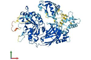 AlphaFold protein structure predicition of Human Recombinant PLCD1 Protein, UniprotID P51178
