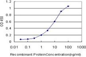 Detection limit for recombinant GST tagged MYOG is approximately 0. (Myogenin antibody  (AA 1-224))