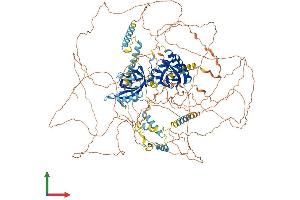 Protein Structure (PS) image for Period Homolog 1 (Drosophila) (PER1) (AA 1-1291) protein (His tag) (ABIN7562396)