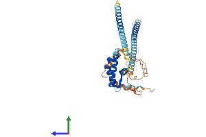 AlphaFold protein structure predicition of Mouse Recombinant Msantd4 Protein, UniprotID Q91YU3 (MSANTD4 Protein (AA 1-345) (His tag))