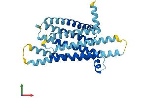 AlphaFold protein structure predicition of Human Recombinant TAS2R50 Protein, UniprotID P59544 (TAS2R50 Protein (AA 1-299) (His tag))