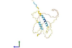 Protein Structure (PS) image for BCL2-Associated Agonist of Cell Death (BAD) (AA 1-204) protein (His tag) (ABIN7557696)