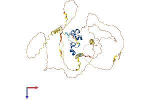 ZFP36L2 Protein (AA 1-494) (His tag)