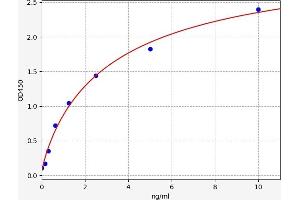 ABCB1 ELISA Kit