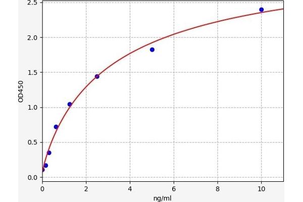 ABCB1 ELISA Kit