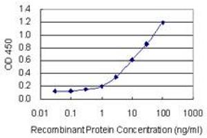 Detection limit for recombinant GST tagged ZNF134 is 0. (ZNF134 antibody  (AA 105-193))