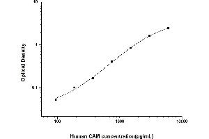 Calmodulin 1 ELISA Kit