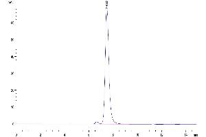 The purity of Biotinylated Human HLA-G Complex is greater than 95 % as determined by SEC-HPLC. (HLAG Protein (AA 25-305, Monomer) (Biotin,His-Avi Tag,Peptide (RIIPRHLQL)))