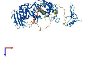 AlphaFold protein structure predicition of Human Recombinant PGBD4 Protein, UniprotID Q96DM1 (PGBD4 Protein (AA 1-585) (His tag))