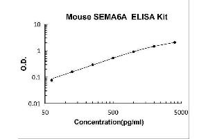 Typical Standard Curve