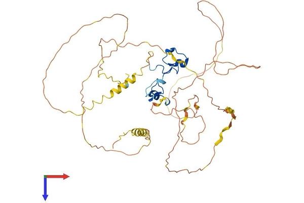 ZFP36L2 Protein (AA 1-484) (His tag)