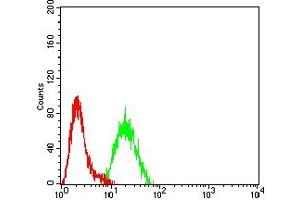 Flow cytometric analysis of Hela cells using KMT2C mouse mAb (green) and negative control (red). (MLL3 antibody  (AA 1-205))