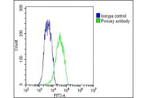 Overlay histogram showing Hela cells stained with (ABIN1538018 and ABIN2850097)(green line). (GDE1 antibody  (AA 192-219))