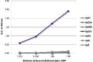 ELISA plate was coated with purified mouse IgG1, IgG2a, IgG2b, IgG2c, IgG3, IgM, and IgA. (Goat anti-Mouse IgG2c Antibody (HRP))