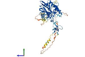 AlphaFold protein structure predicition of Human Recombinant APEX2 Protein, UniprotID Q9UBZ4 (APEX2 Protein (AA 1-518) (His tag))