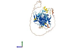 AlphaFold protein structure predicition of Mouse Recombinant Mettl18 Protein, UniprotID Q9CZ09 (METTL18 Protein (AA 1-362) (His tag))