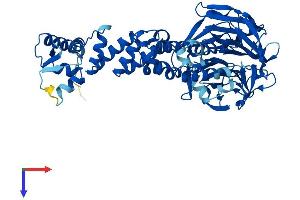 AlphaFold protein structure predicition of Human Recombinant KLHL28 Protein, UniprotID Q9NXS3