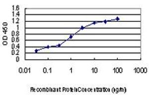 Detection limit for recombinant GST tagged GATA2 is approximately 0. (GATA2 antibody  (AA 1-102))
