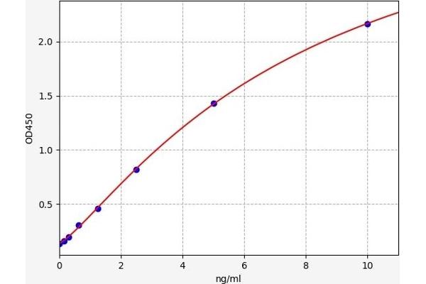 CALCRL ELISA Kit