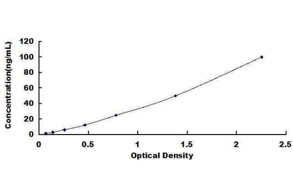 CYP3A4 ELISA Kit