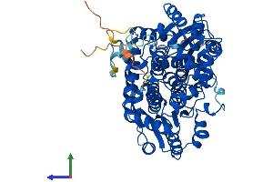 AlphaFold protein structure predicition of Human Recombinant GCKR Protein, UniprotID Q14397 (GCKR Protein (AA 1-625) (His tag))