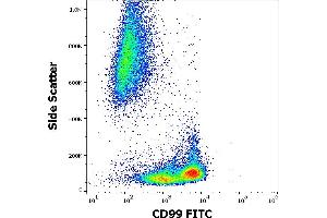 Flow cytometry surface staining pattern of human peripheral whole blood stained using anti-human CD99 (3B2/TA8) FITC antibody (4 μL reagent / 100 μL of peripheral whole blood). (CD99 antibody  (FITC))
