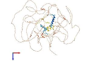 AlphaFold protein structure predicition of Human Recombinant C2orf78 Protein, UniprotID A6NCI8 (C2ORF78 Protein (AA 1-922) (His tag))