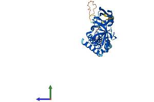 AlphaFold protein structure predicition of Human Recombinant GIPC3 Protein, UniprotID Q8TF64