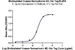 ELISA image for Sema Domain, Immunoglobulin Domain (Ig), Transmembrane Domain (TM) and Short Cytoplasmic Domain, (Semaphorin) 4D (SEMA4D) (AA 22-734) protein (His-Avi Tag,Biotin) (ABIN7275566)