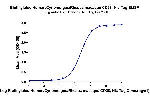 CD28 Protein (CD28) (His-Avi Tag,Biotin)