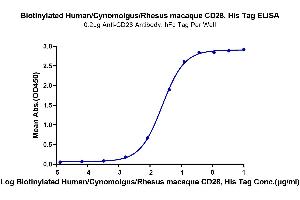 Immobilized Anti-CD28 Antibody, hFc Tag at 2 μg/mL (100 μL/well) on the plate. (CD28 Protein (CD28) (His-Avi Tag,Biotin))