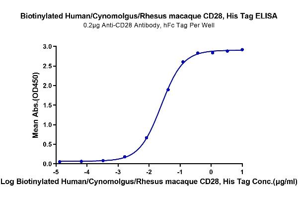 CD28 Protein (CD28) (His-Avi Tag,Biotin)