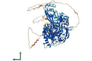 AlphaFold protein structure predicition of Mouse Recombinant Piwil2 Protein, UniprotID Q8CDG1 (PIWIL2 Protein (AA 1-971) (His tag))