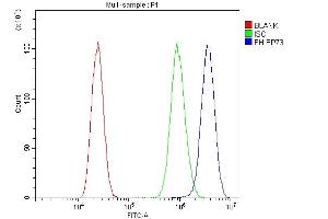 Flow Cytometry analysis of A431 cells using anti-FH antibody (ABIN5518986).