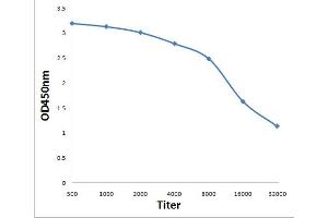 Antigen: 0. (PRKAG3 antibody  (AA 151-250))