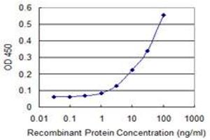 Detection limit for recombinant GST tagged ZNF197 is 1 ng/ml as a capture antibody. (ZNF197 antibody  (AA 161-267))