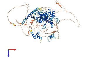 AlphaFold protein structure predicition of Mouse Recombinant Otud7b Protein, UniprotID B2RUR8 (OTUD7B Protein (AA 1-840) (His tag))