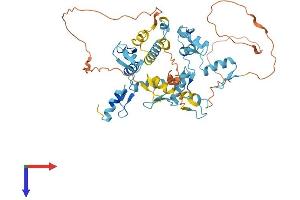 AlphaFold protein structure predicition of Human Recombinant ZNF772 Protein, UniprotID Q68DY9 (ZNF772 Protein (AA 1-489) (His tag))
