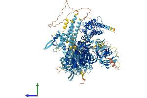 AlphaFold protein structure predicition of Mouse Recombinant Prex2 Protein, UniprotID Q3LAC4 (PREX2 Protein (AA 1-1598) (His tag))