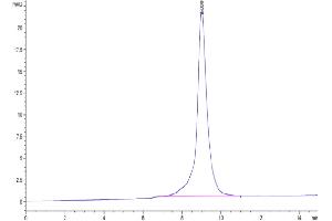 The purity of Rhesus macaque KIR3DL2 is greater than 95 % as determined by SEC-HPLC.
