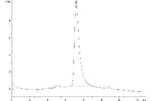 The purity of Biotinylated Human B7-H4 is greater than 95 % as determined by SEC-HPLC. (VTCN1 Protein (AA 29-258) (His-Avi Tag,Biotin))